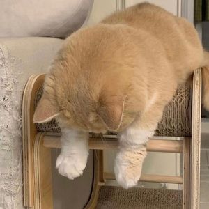 Meet your Posher, Maledy